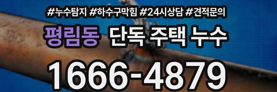 평림동 단독 주택 누수