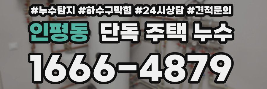 인평동 단독 주택 누수