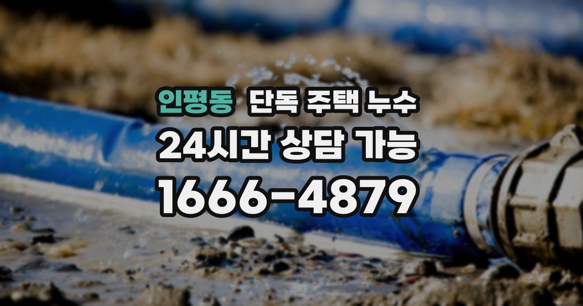인평동 단독 주택 누수