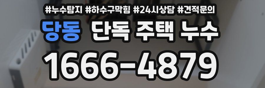 당동 단독 주택 누수