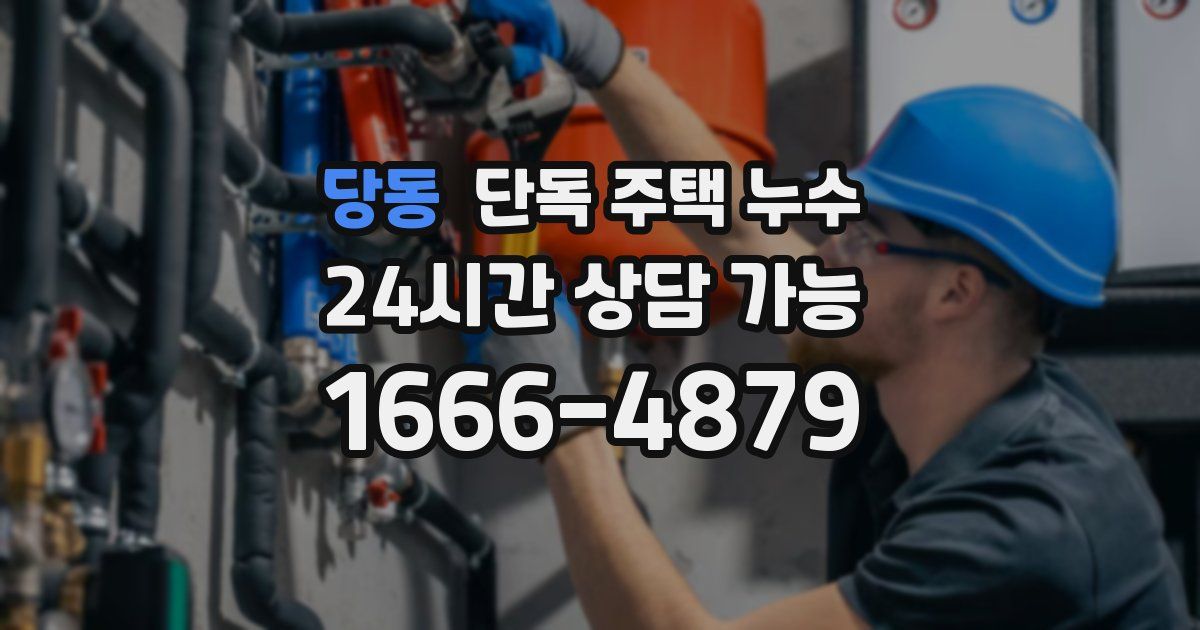 당동 단독 주택 누수