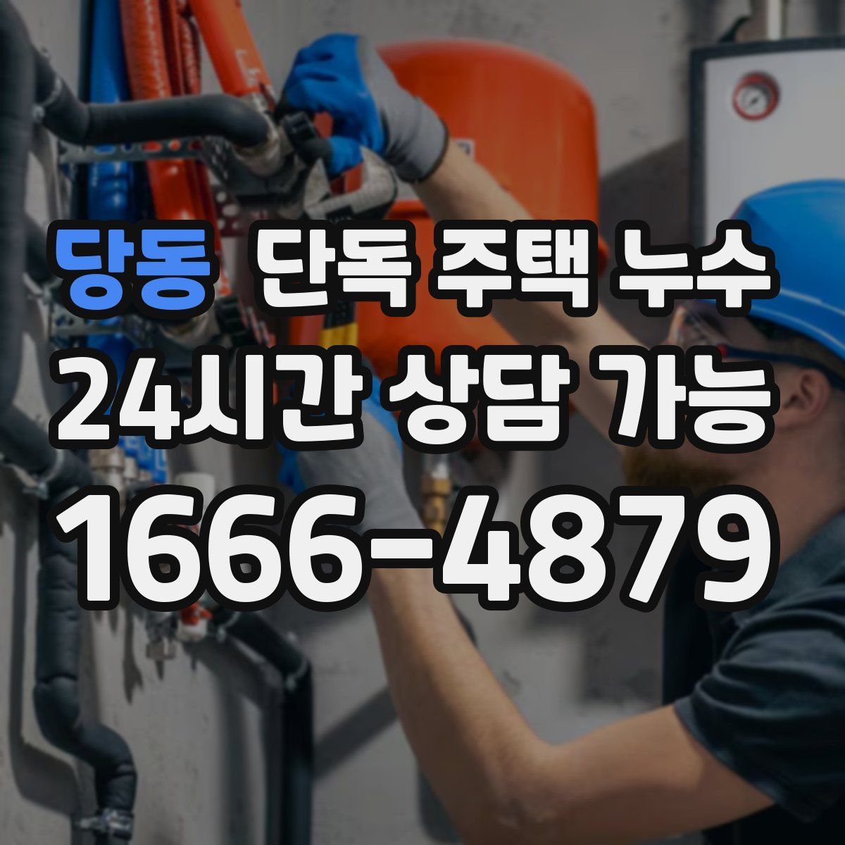 당동 단독 주택 누수