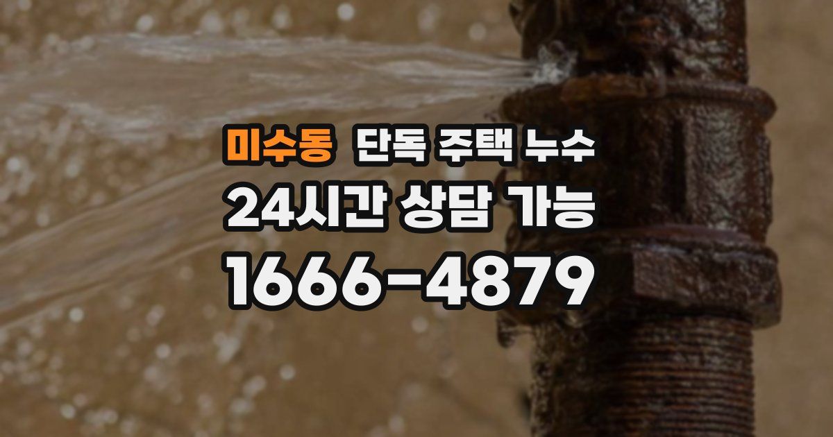 미수동 단독 주택 누수