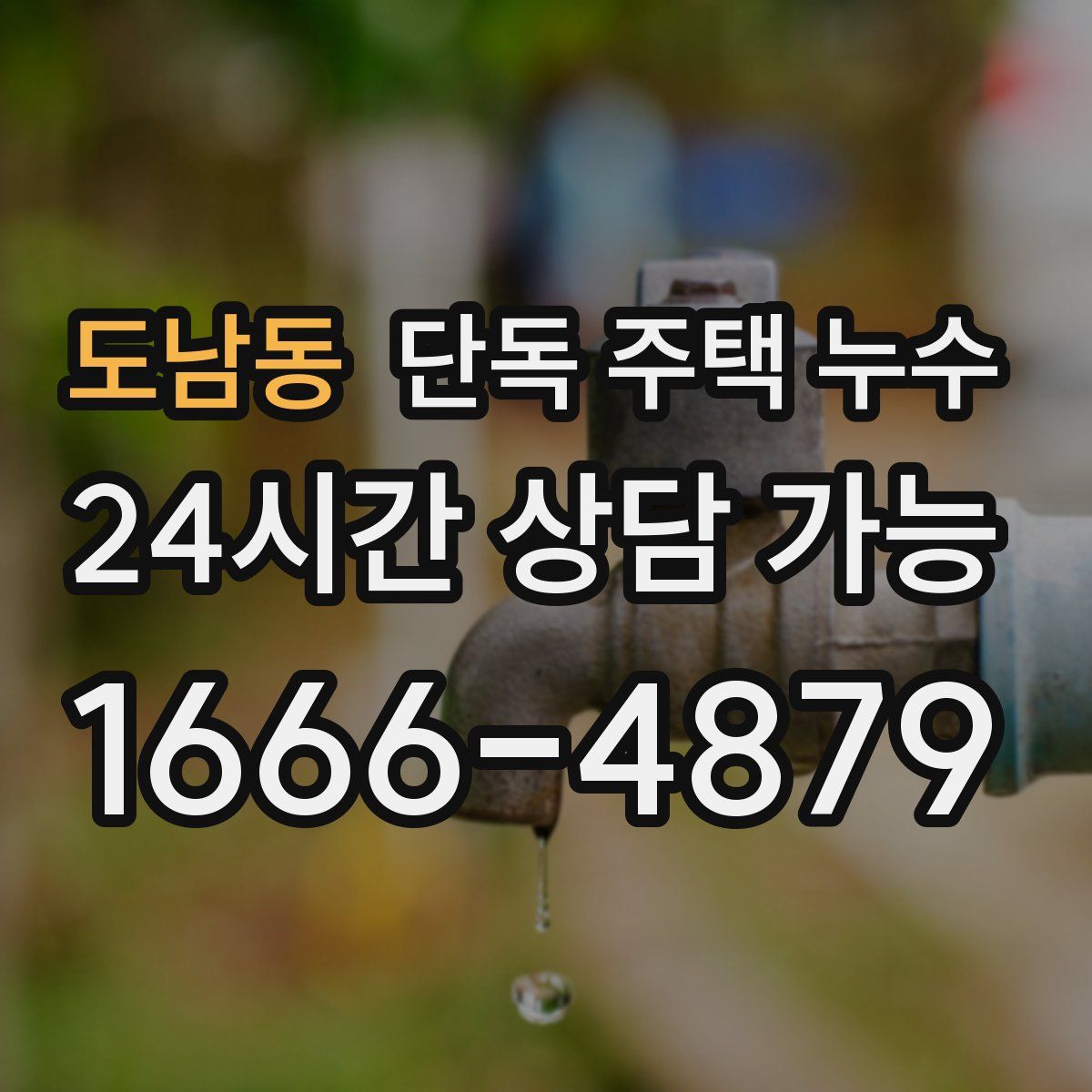 도남동 단독 주택 누수