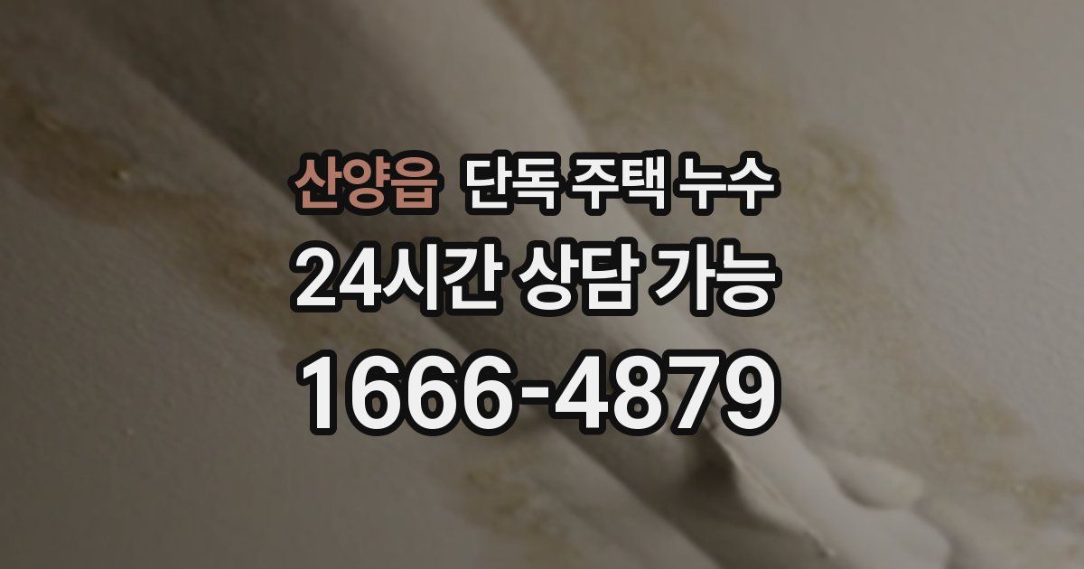 산양읍 단독 주택 누수