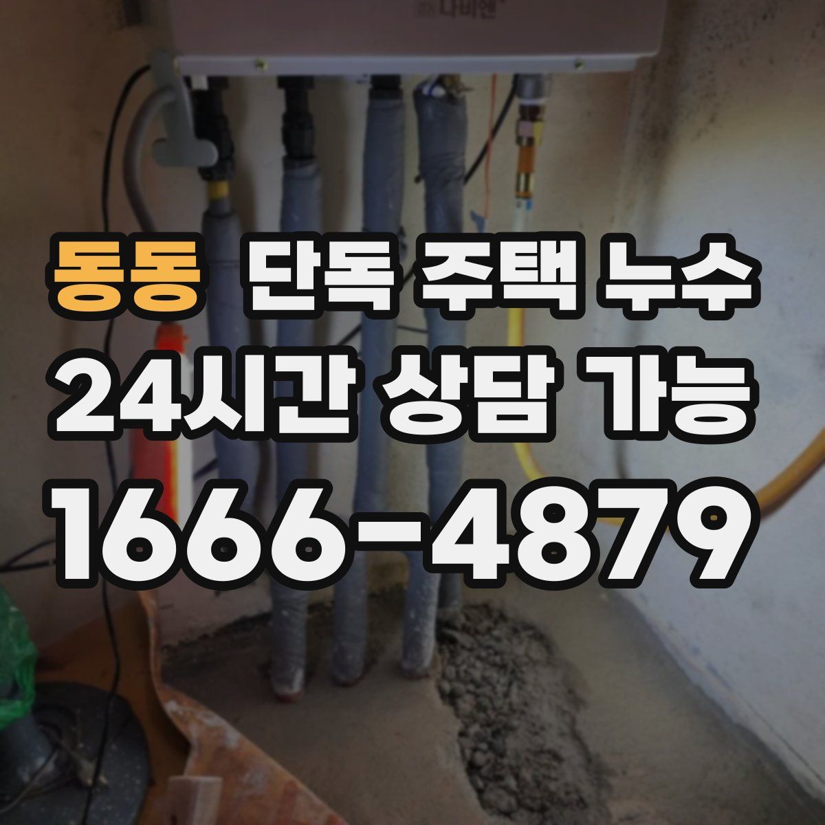 동동 단독 주택 누수