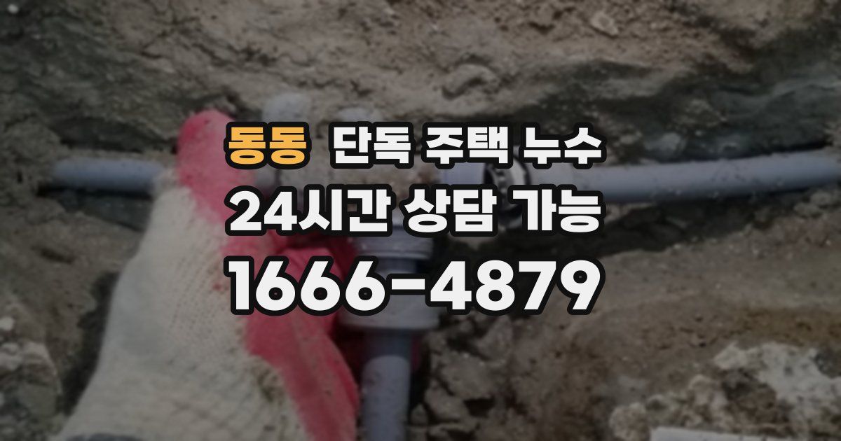 동동 단독 주택 누수