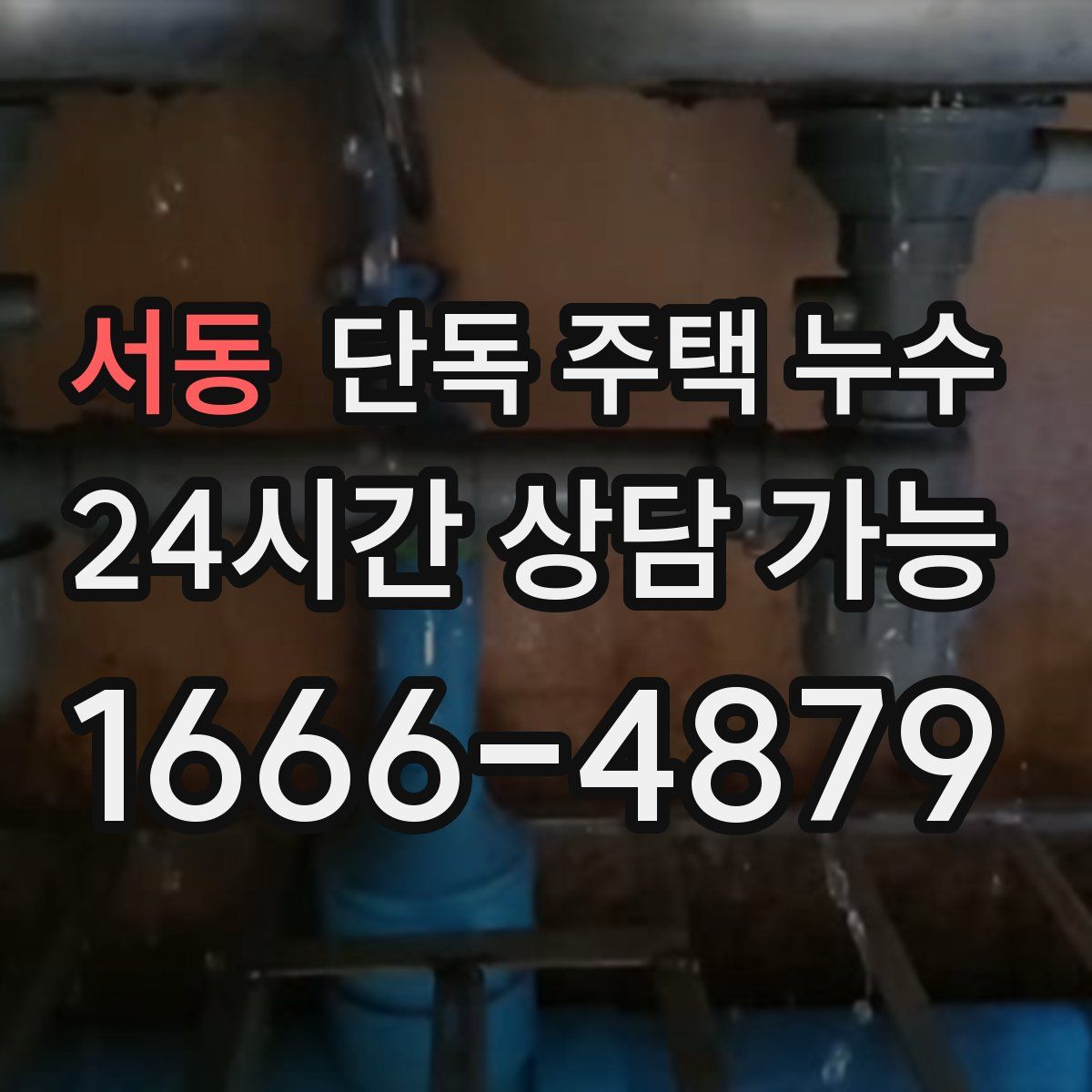 서동 단독 주택 누수