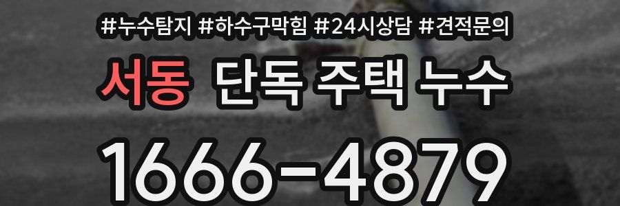 서동 단독 주택 누수