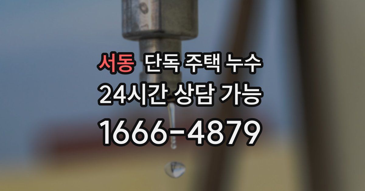 서동 단독 주택 누수