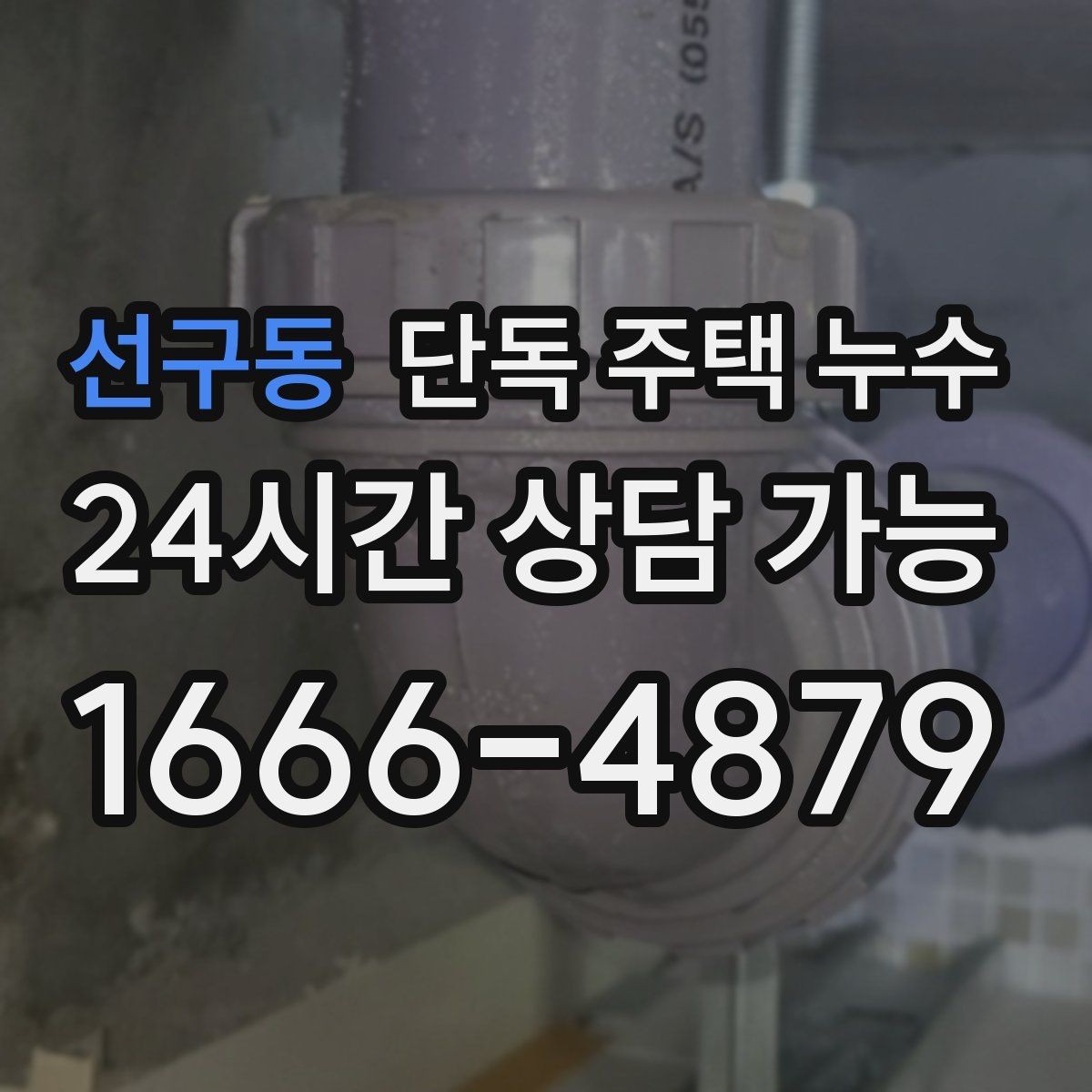 선구동 단독 주택 누수 홈통 문제로 실내 벽이 젖는 과정