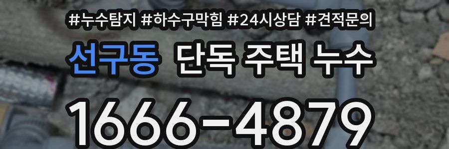 선구동 단독 주택 누수