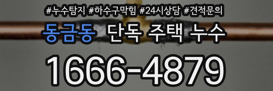 동금동 단독 주택 누수