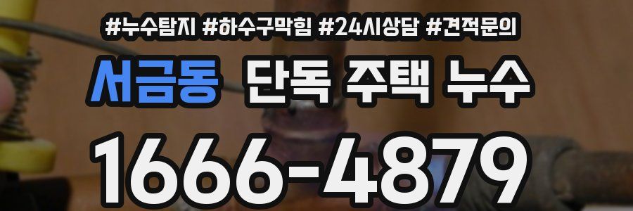 서금동 단독 주택 누수