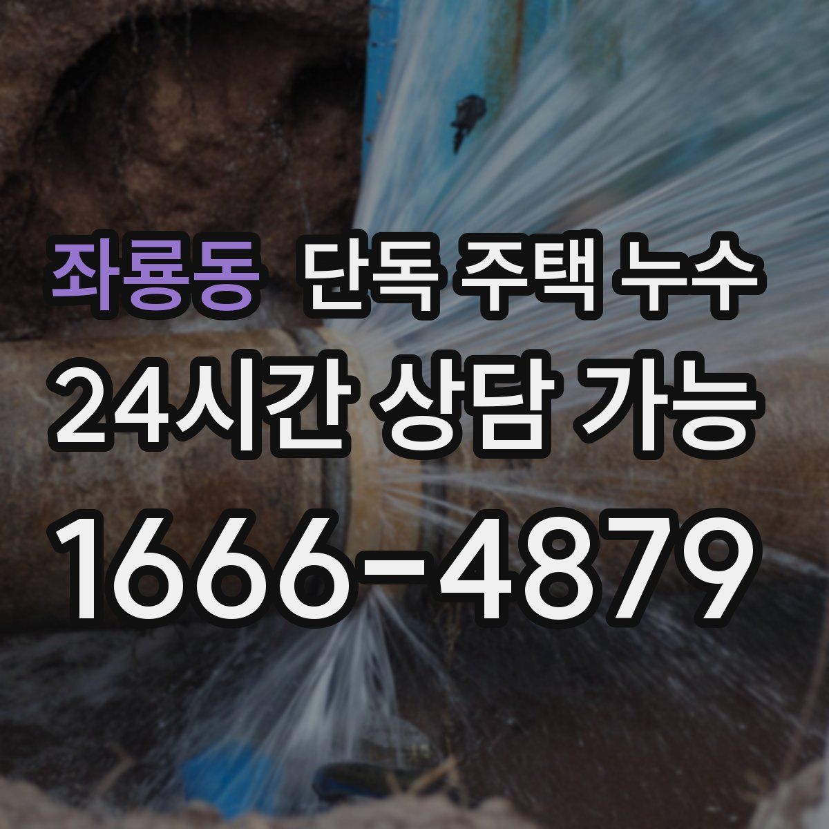 좌룡동 단독 주택 누수