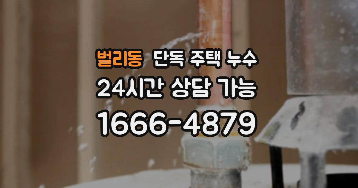 벌리동 단독 주택 누수