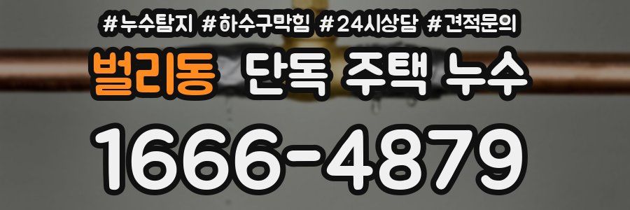벌리동 단독 주택 누수