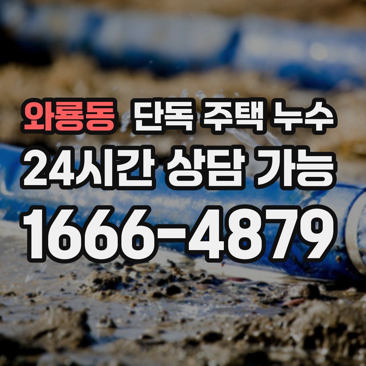 와룡동 단독 주택 누수 마당 물이 집 쪽으로 모일 때 위험 신호