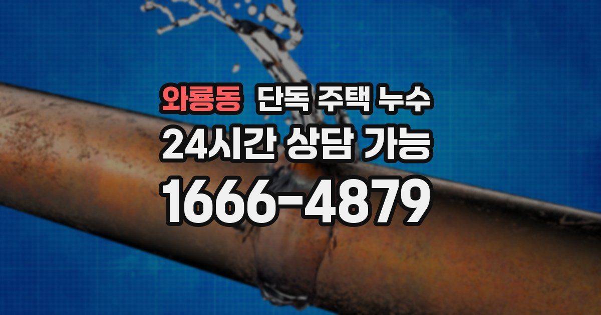 와룡동 단독 주택 누수