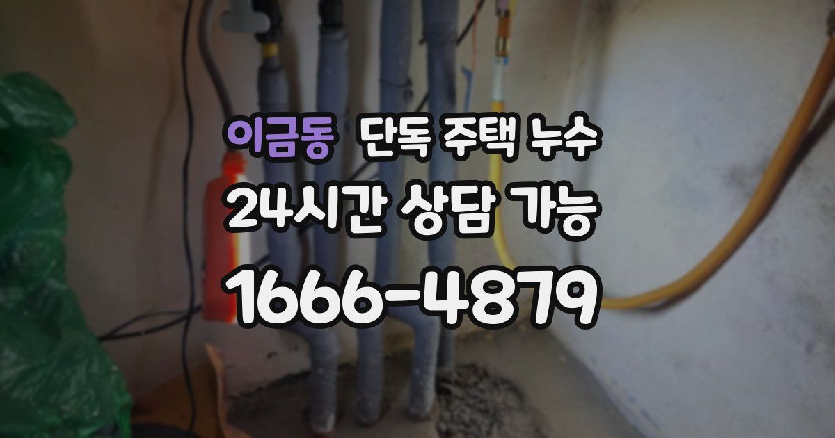 이금동 단독 주택 누수