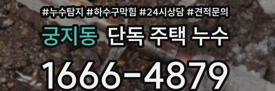 궁지동 단독 주택 누수