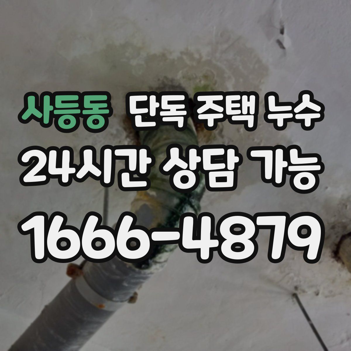 사등동 단독 주택 누수