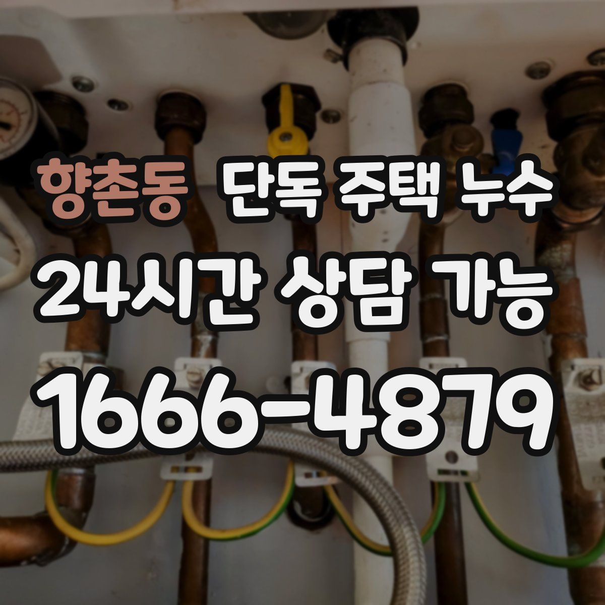 향촌동 단독 주택 누수