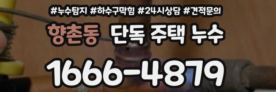 향촌동 단독 주택 누수