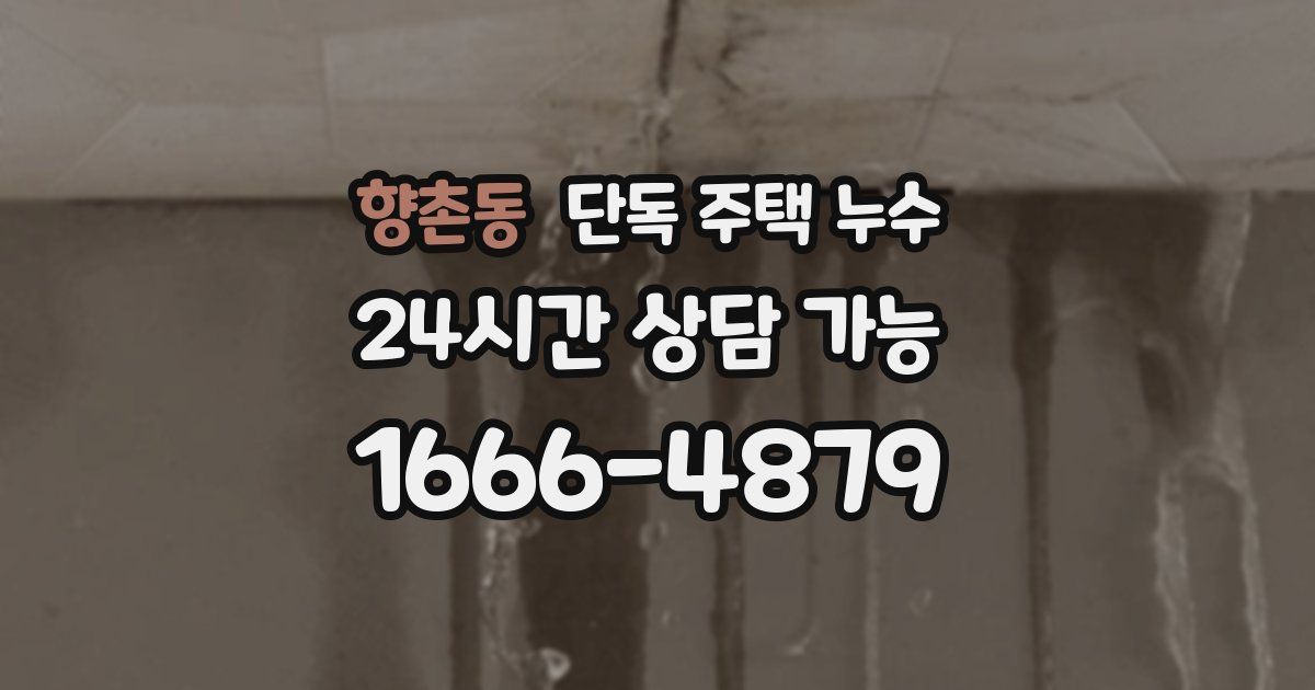 향촌동 단독 주택 누수