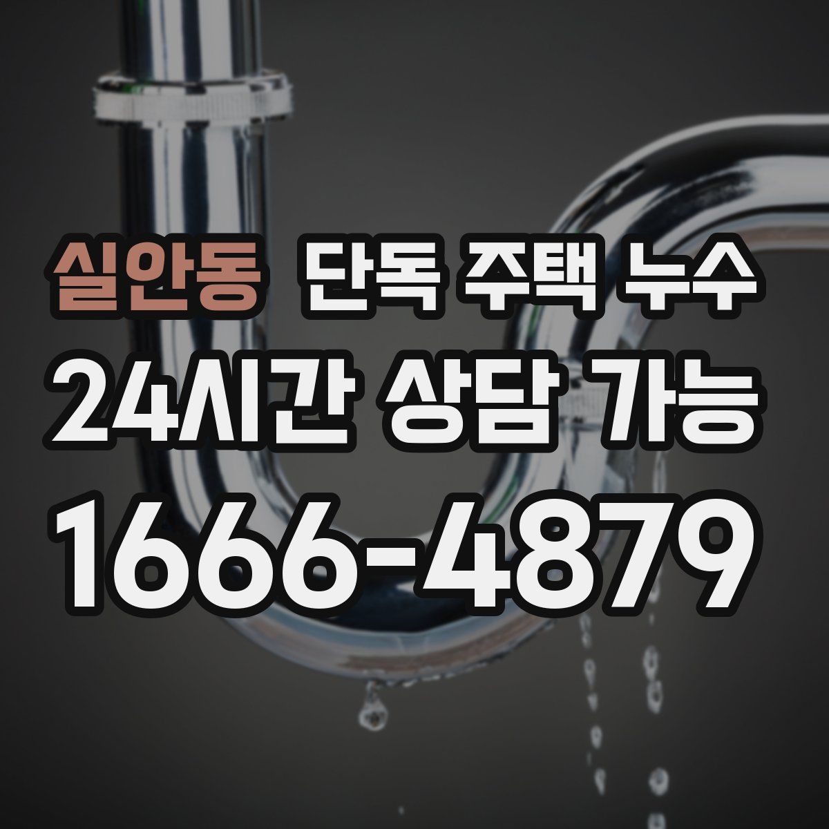 실안동 단독 주택 누수