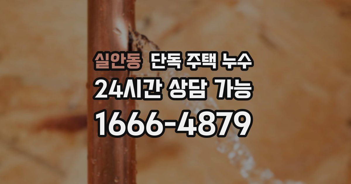 실안동 단독 주택 누수