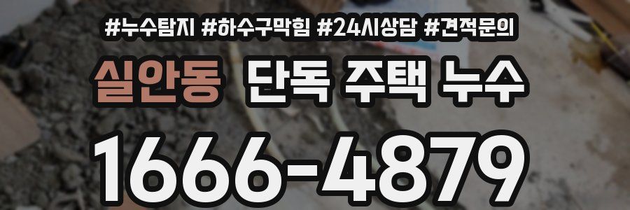 실안동 단독 주택 누수