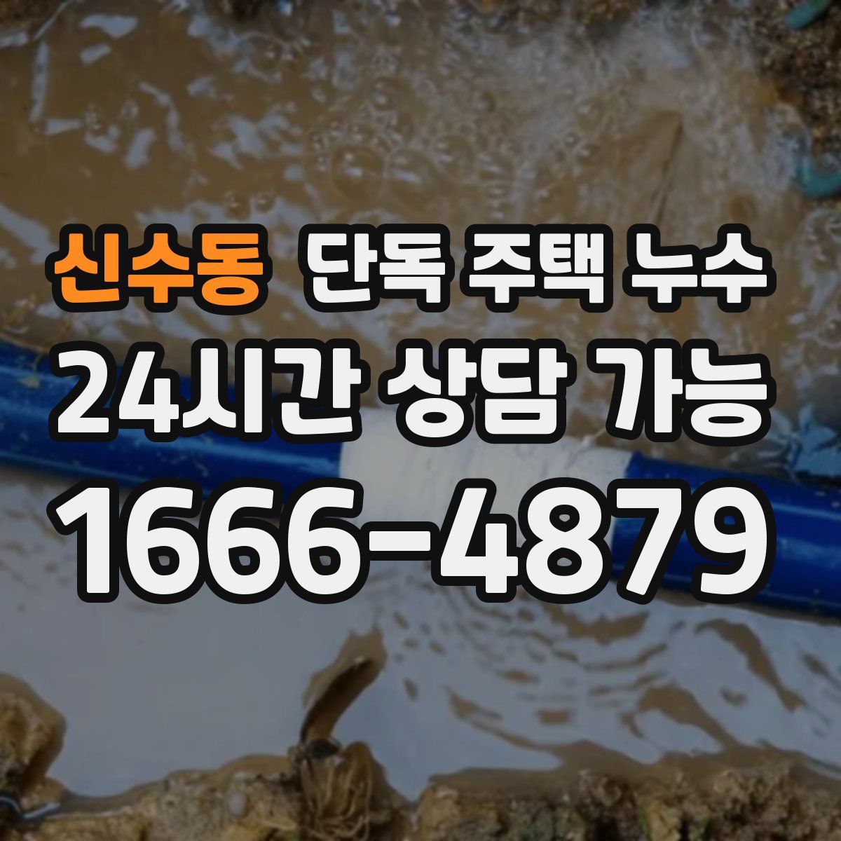 신수동 단독 주택 누수