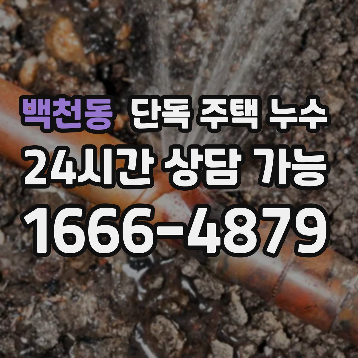 백천동 단독 주택 누수