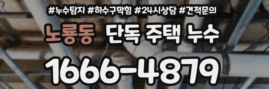노룡동 단독 주택 누수