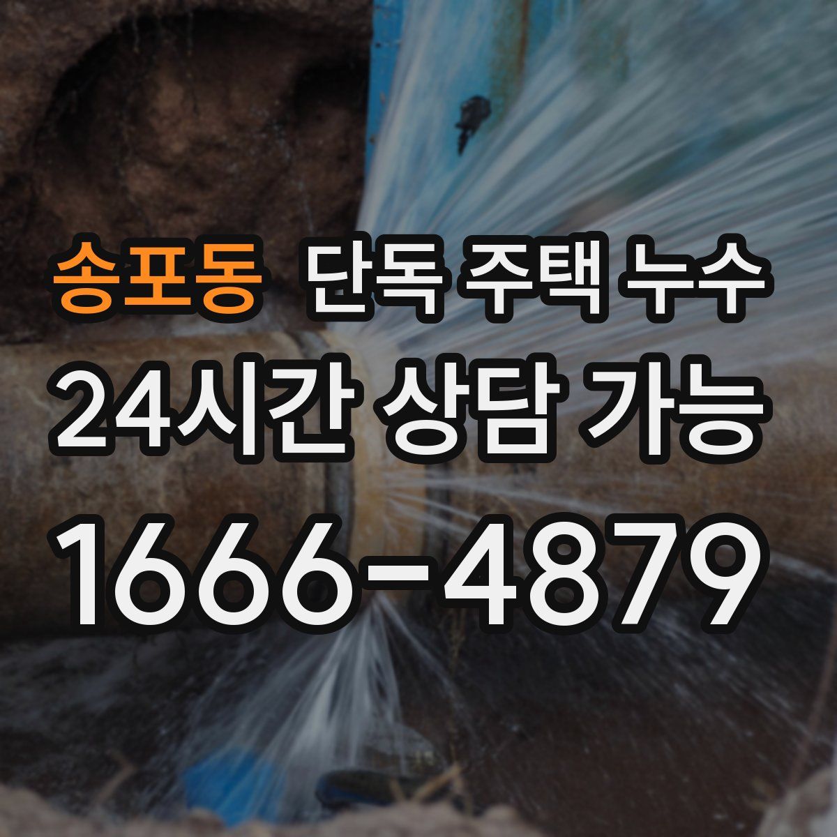 송포동 단독 주택 누수