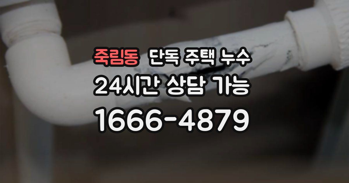 죽림동 단독 주택 누수