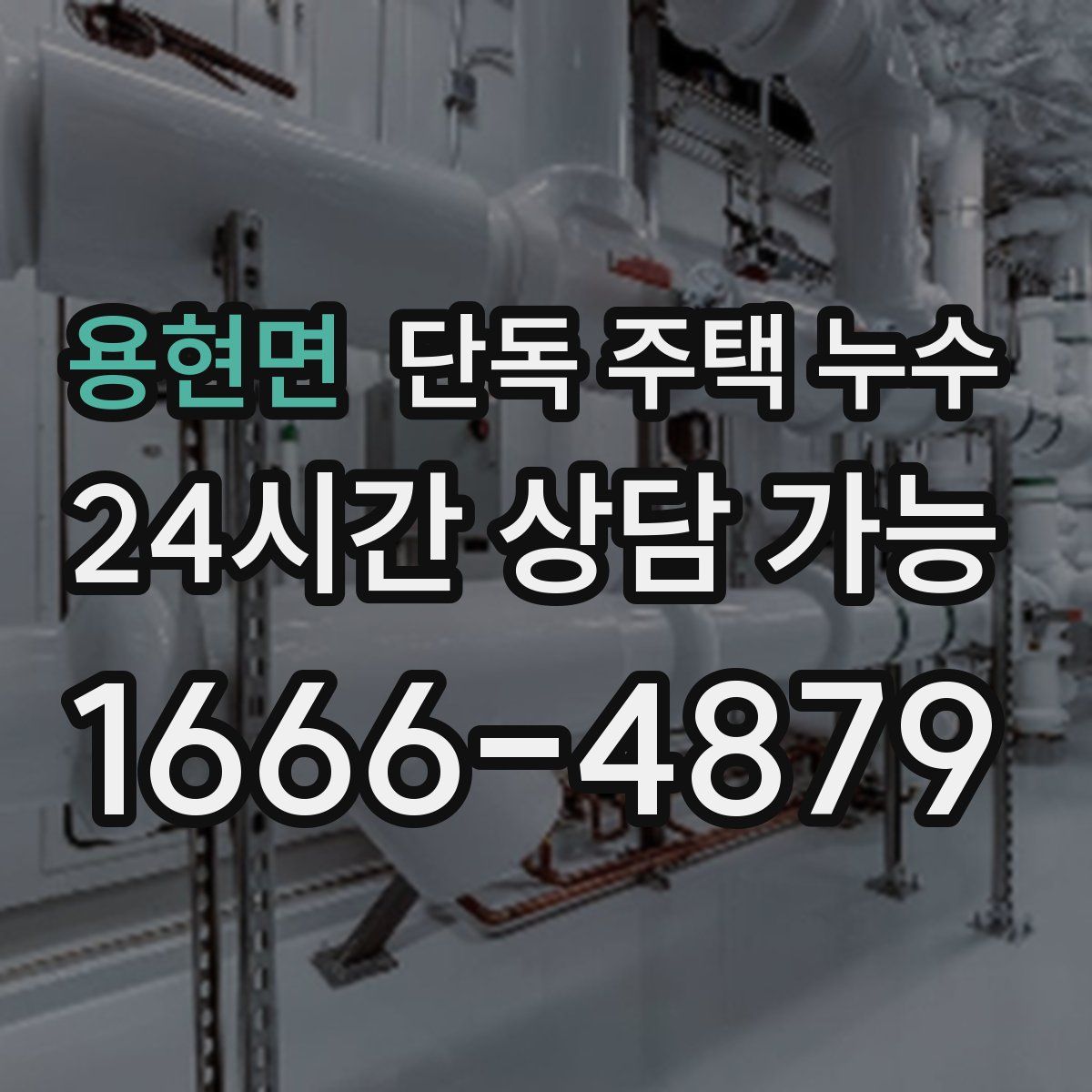 용현면 단독 주택 누수