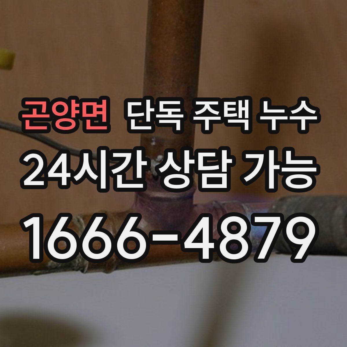 곤양면 단독 주택 누수 욕실 천장에 물방울 맺힐 때 원인 추정