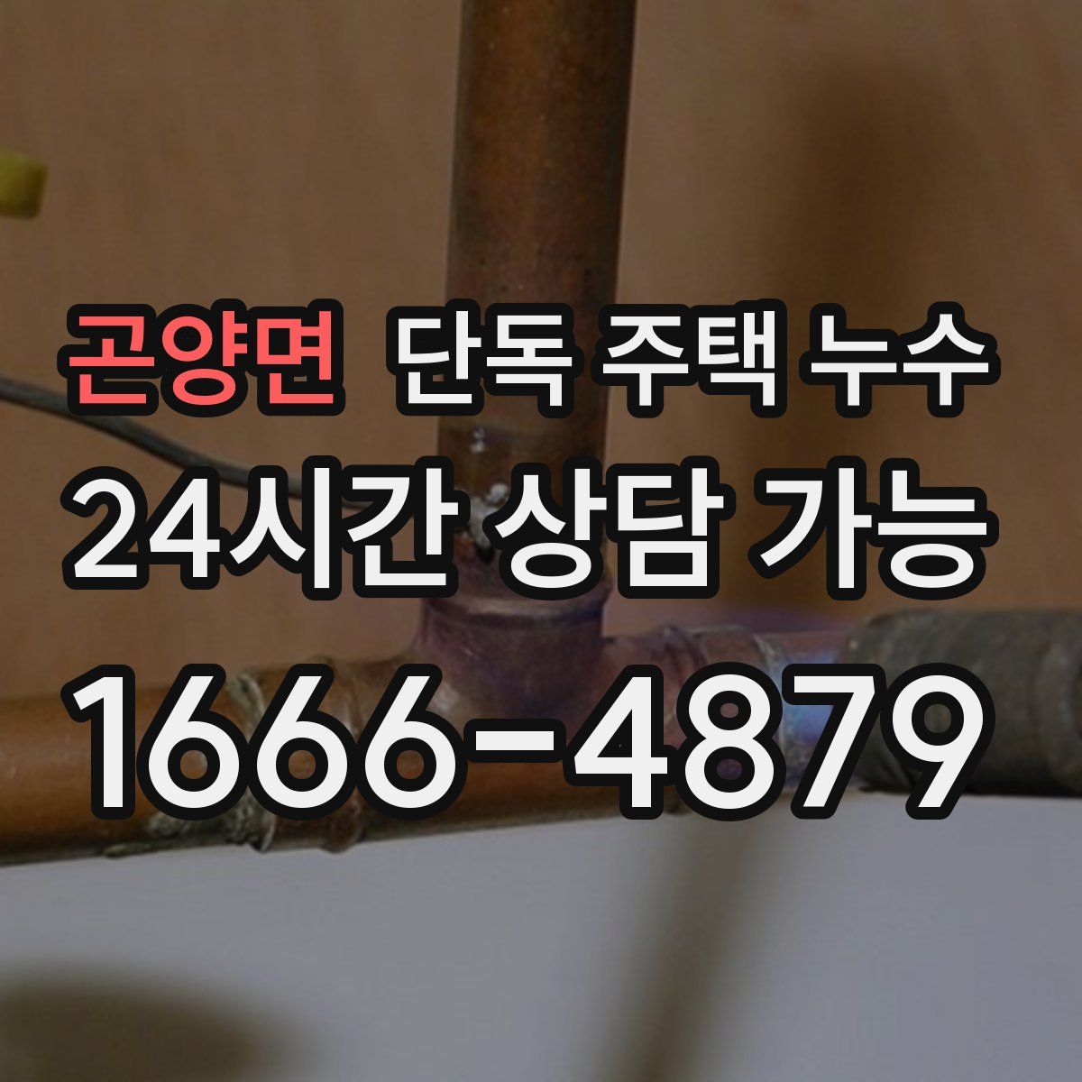 곤양면 단독 주택 누수