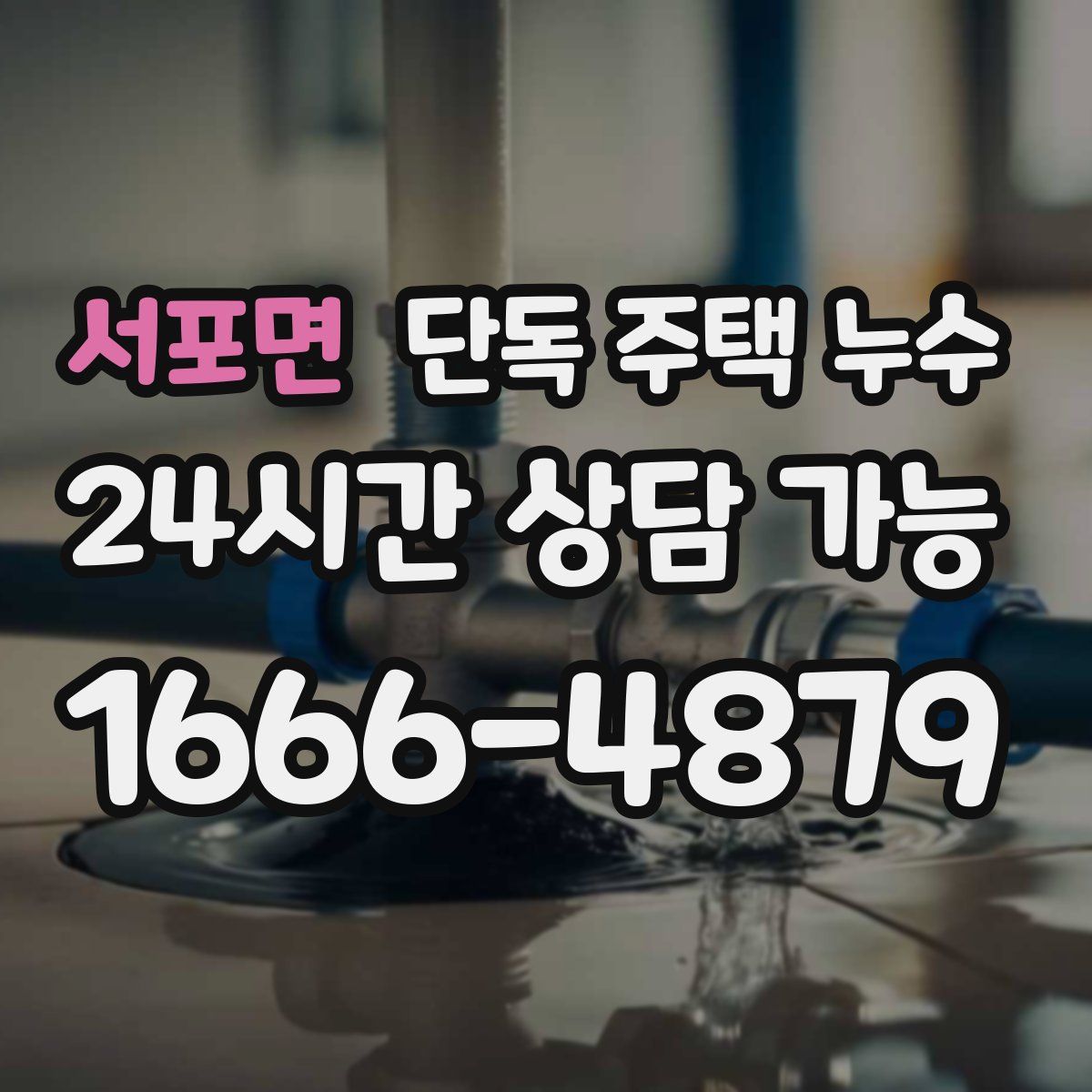 서포면 단독 주택 누수