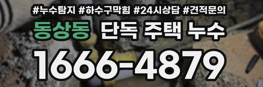 동상동 단독 주택 누수