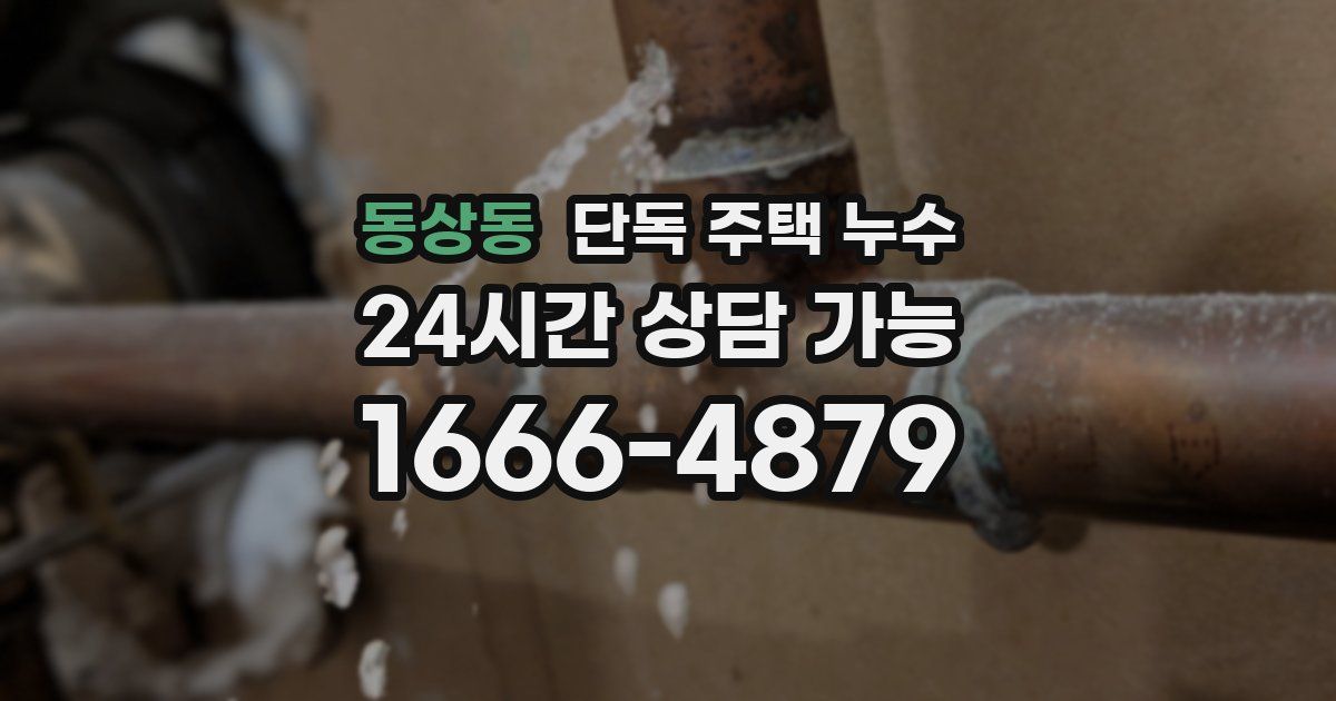 동상동 단독 주택 누수