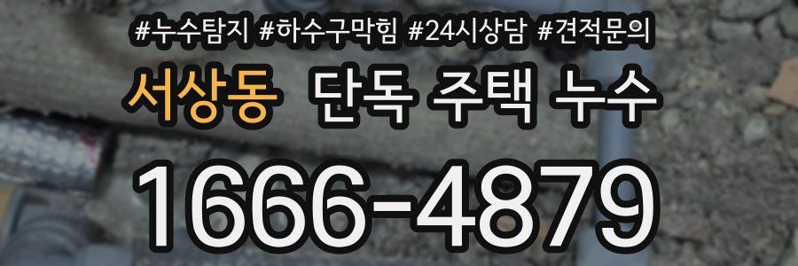서상동 단독 주택 누수
