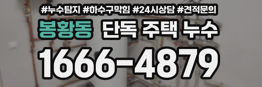 봉황동 단독 주택 누수