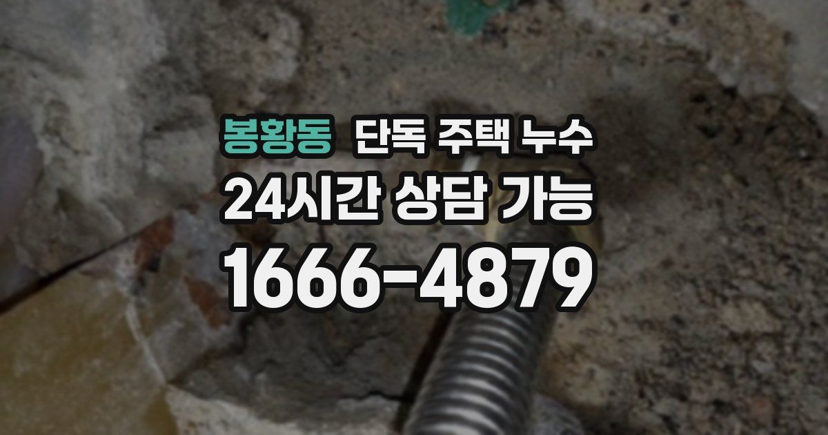 봉황동 단독 주택 누수