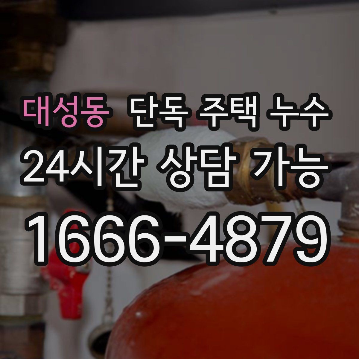 대성동 단독 주택 누수 장롱 뒤 벽 얼룩이 커질 때