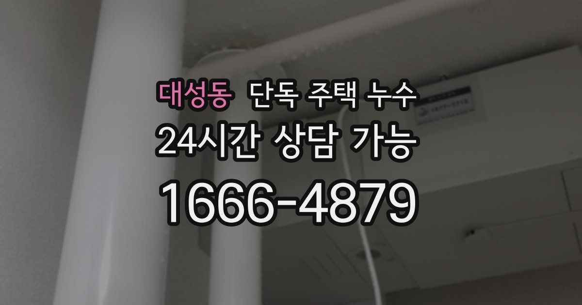 대성동 단독 주택 누수