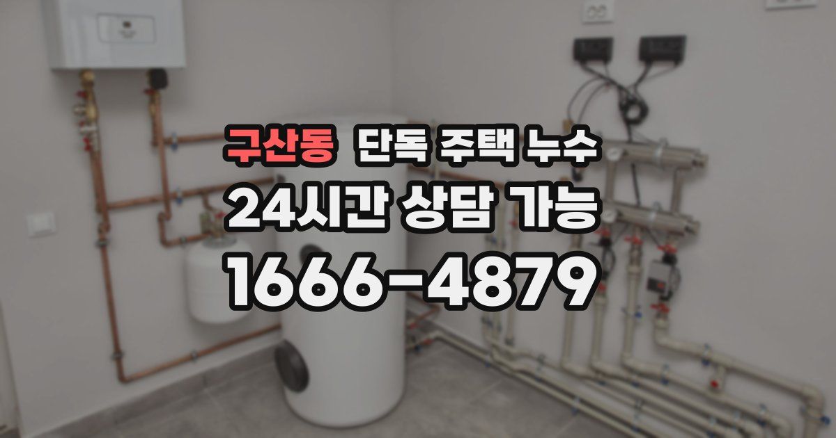 구산동 단독 주택 누수