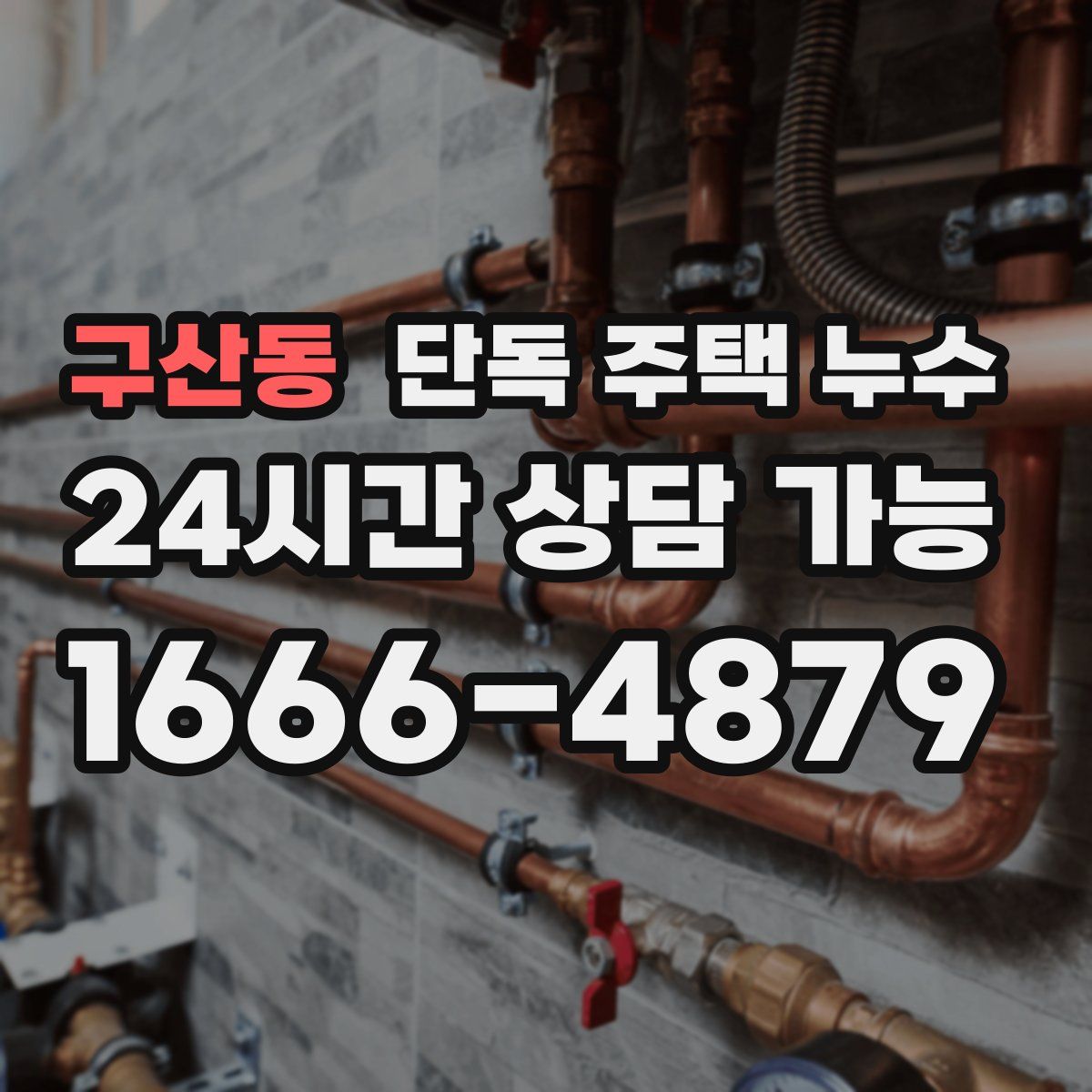 구산동 단독 주택 누수